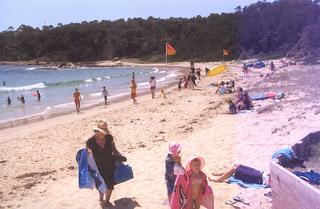 Shelley Beach