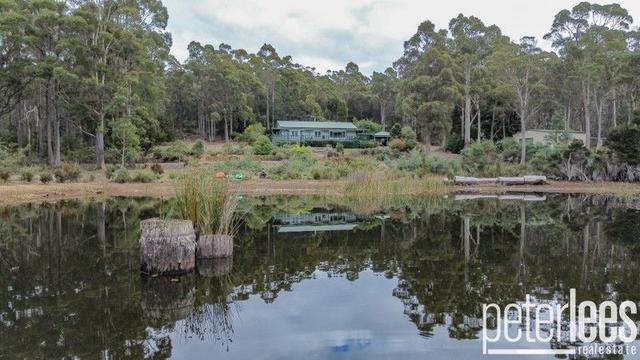 100 Loriwood Drive, TAS 7267