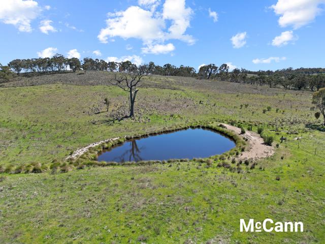 2032 Rye Park Road (Broadway), NSW 2581