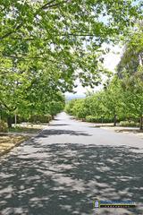 Monaro Crescent