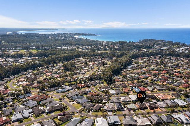 84 Golden Wattle Drive, NSW 2539