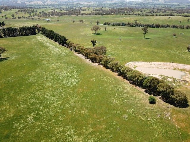 2906 Wargeila Road, NSW 2586