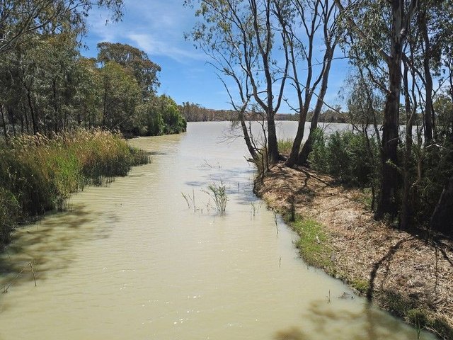 364 McBeans Run Road, SA 5357