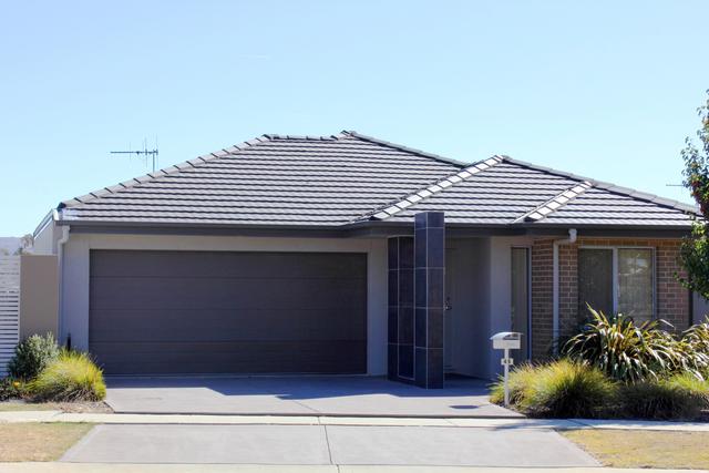 45 Amy Ackman Street, ACT 2914