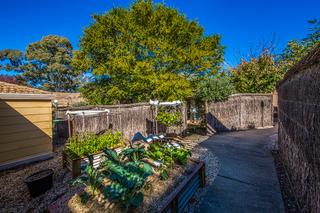 Front path (2017-05-09)