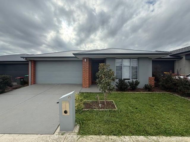 9 Sadleria Street, VIC 3818