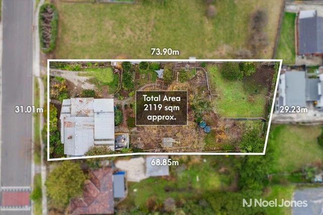 41 Albert Hill Road, VIC 3140