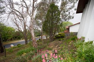 Front garden