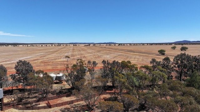 Part Farm 2974 Wollarma Road, NSW 2669