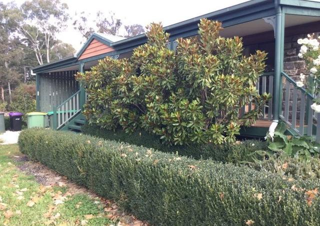 82 Greene  Street, VIC 3440