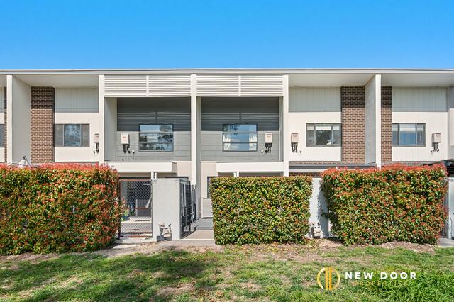 31/1 Hoffmann Street, ACT 2914