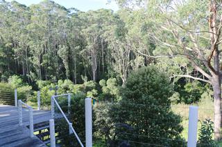 From Balcony to Private Forest with Frontage to Corunna Lake