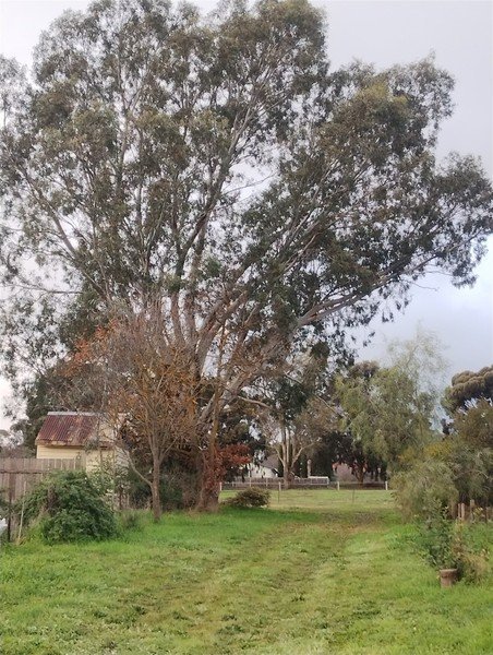 62 Brigade Avenue, VIC 3451