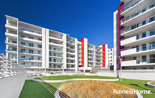 334/80 Chandler Street, ACT 2617