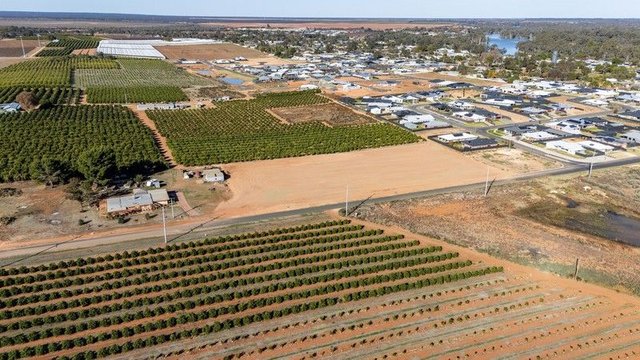 3/86 Dawn Avenue, NSW 2738