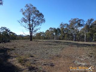 Clearing (2013-06-20)