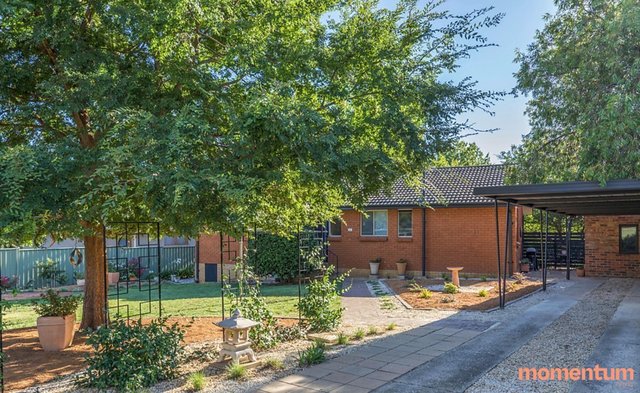 84 Carruthers Street, ACT 2605