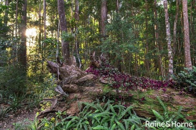138 Tallgum Avenue, QLD 4562