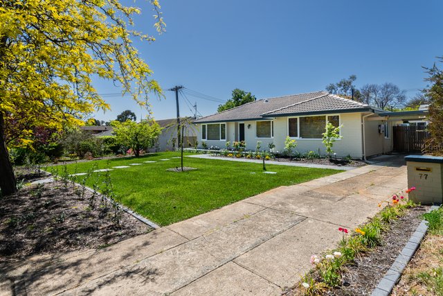 77 Jervois St, ACT 2600