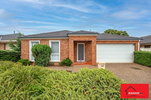 77 Christina Stead Street, ACT 2913