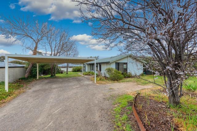 1/22 Chillagoe Street, ACT 2611