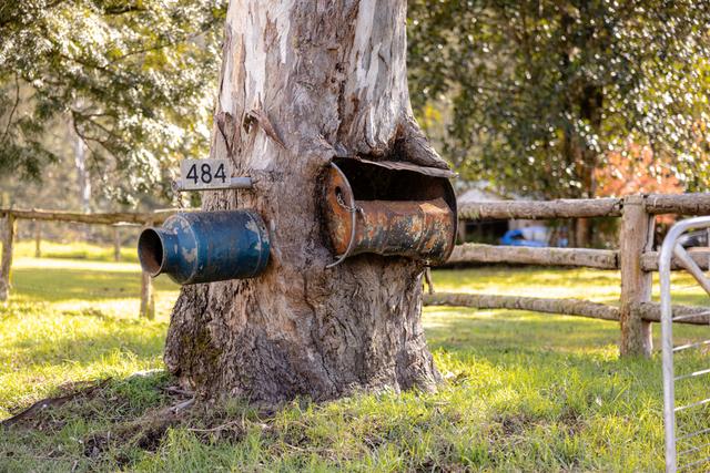 484 Craven Creek Road, NSW 2422