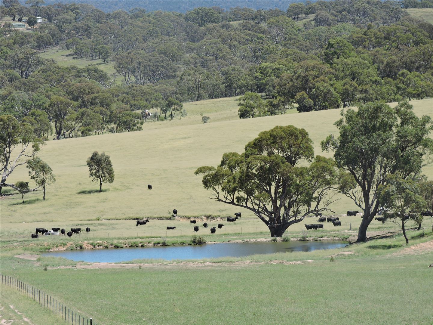 5080 monaro highway, michelago nsw 2620 - other for sale