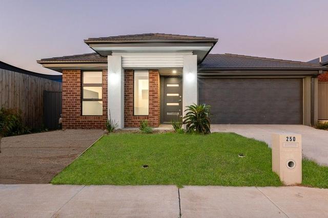 250 Ballarat Carngham Road, VIC 3350