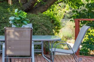 4.23Shepherdson_20200113-15.jpg (2020-01-16)
