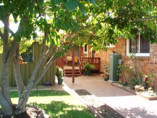 Backyard (2007-04-16)