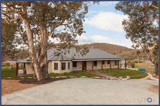 Sweeping Driveway