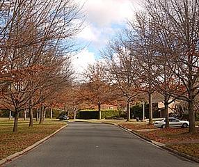 View of street