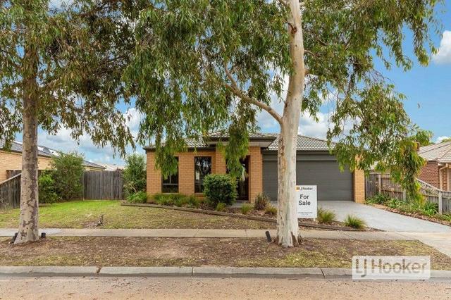 14 Coast Avenue, VIC 3880