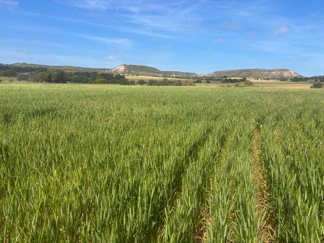 Lot 72 Oakajee Road, WA 6532