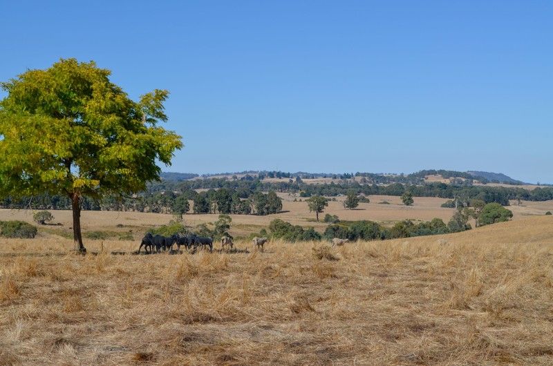 Brookleigh Road, Strathbogie VIC 3666 Allhomes