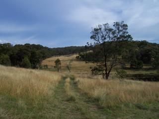 View from road