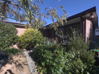 Frontyard