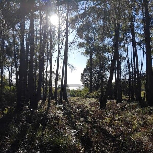 Lot 1 Poseidon Street, TAS 7216