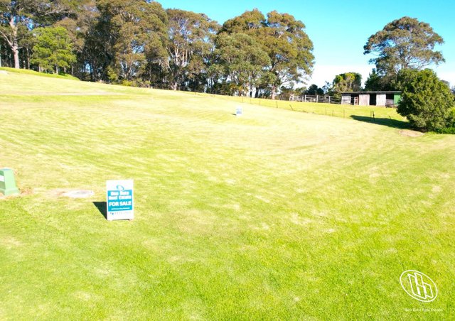 60 Warbler Crescent, NSW 2546