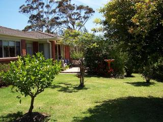 garden to courtyard