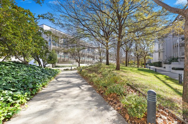 36/47 Wentworth Ave, ACT 2604