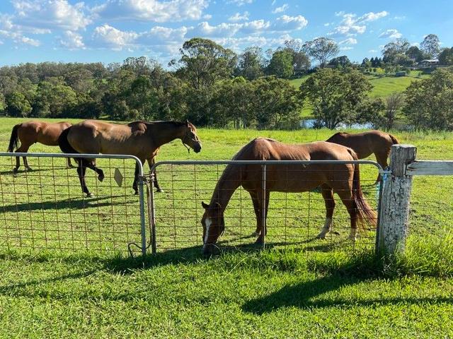 72 Bells Lane, NSW 2757