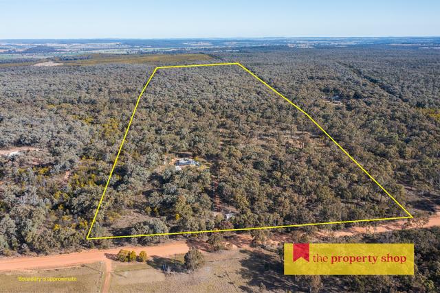 633 Patrick Road, NSW 2844