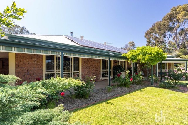 1 Shepherd Drive, SA 5340