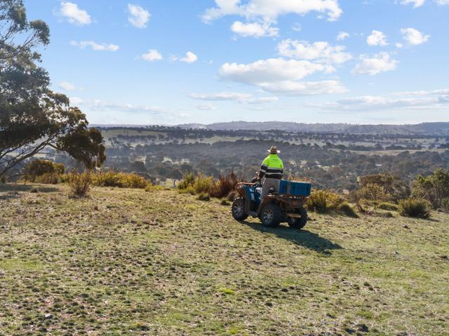 "Sheldricks Range" Sheldricks Lane, NSW 2582