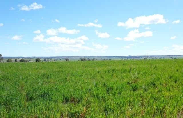 154 Delungra Bypass Road, NSW 2360