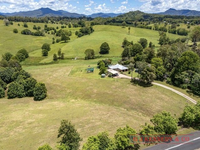 319 North Arm Rd, NSW 2449