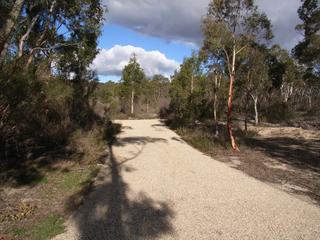 Sealed driveway