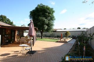 Backyard (2006-03-23)