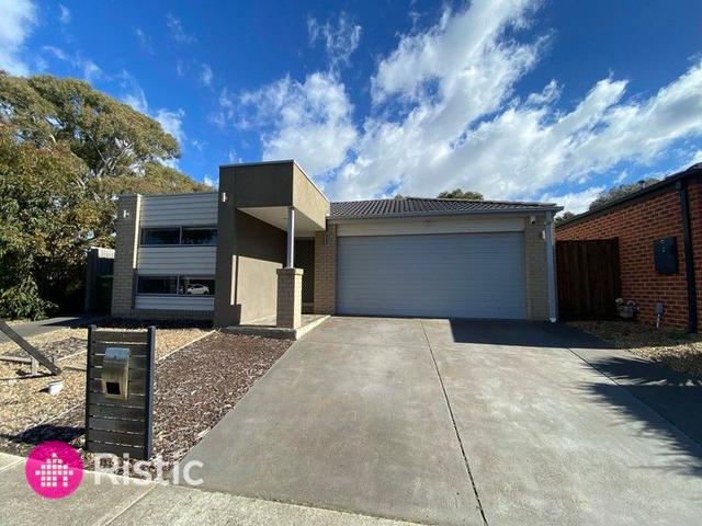 46 Sanctum Circuit, VIC 3754